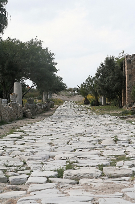 Tunis, Carthage-109